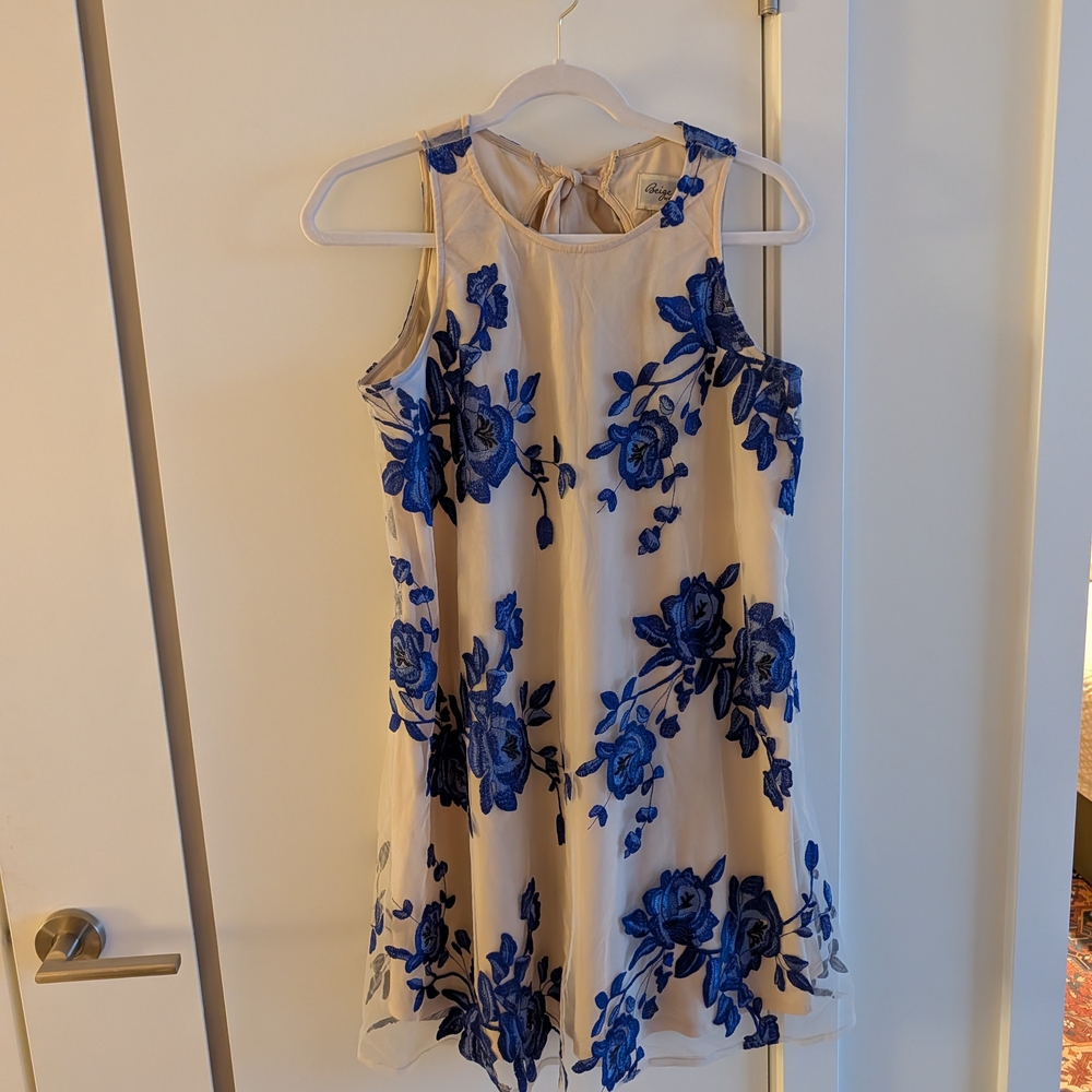 ECI Cream Dress with Blue Floral Design